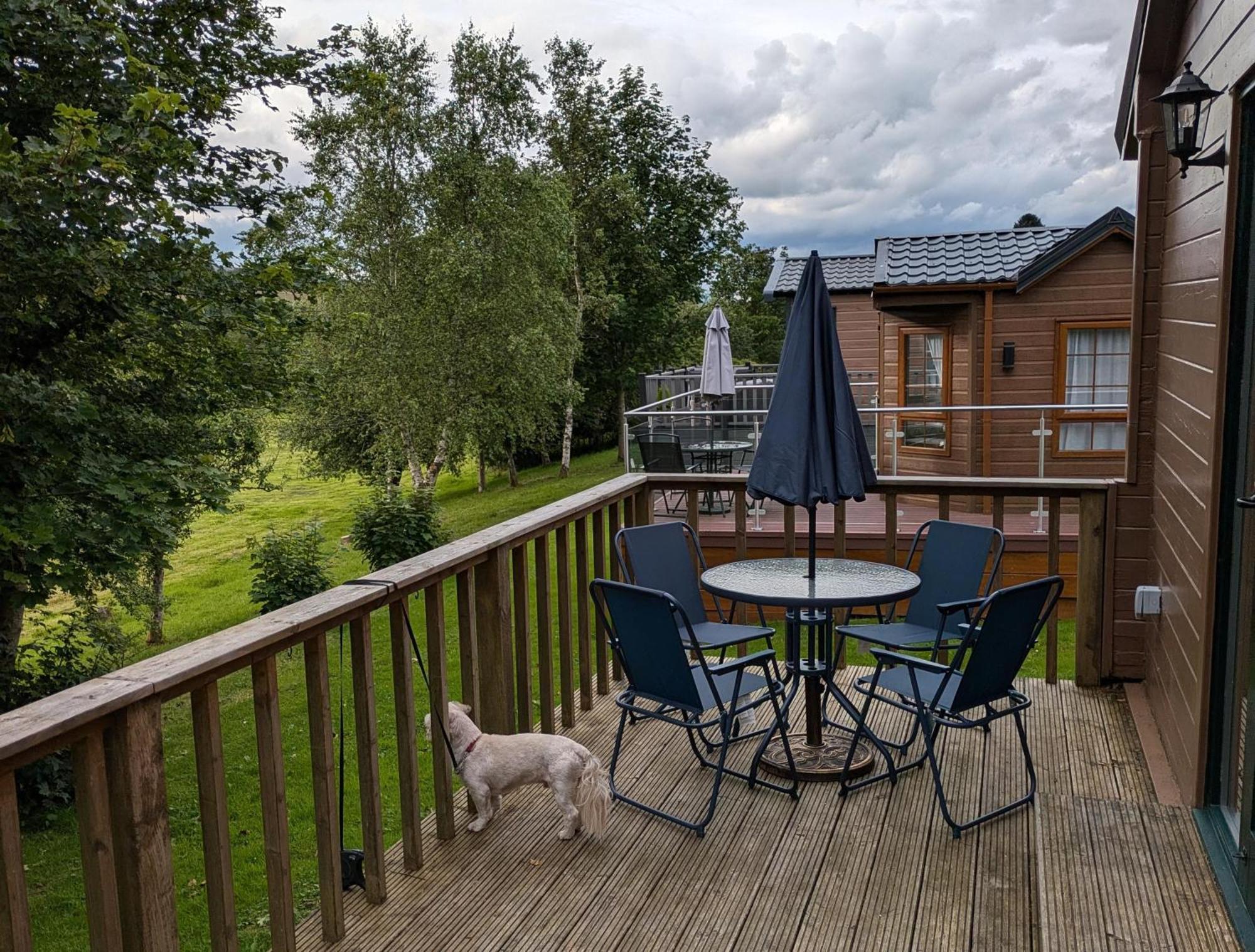 Rustic Lodge Retreat At Riverview Holiday Park Newcastleton Kültér fotó
